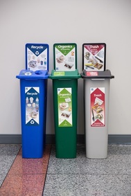 Business recycling bin set up