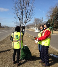 Tree steward volunteers