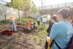 Tree planting field trip