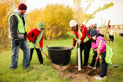 Volunteers plant trees on roadways