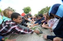 Children's Water Festival