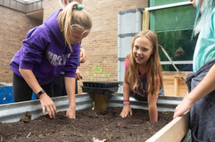 School compost planting event