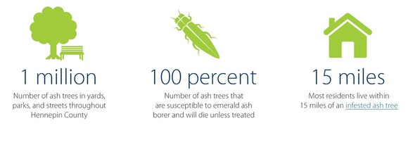 Emerald ash borer icons