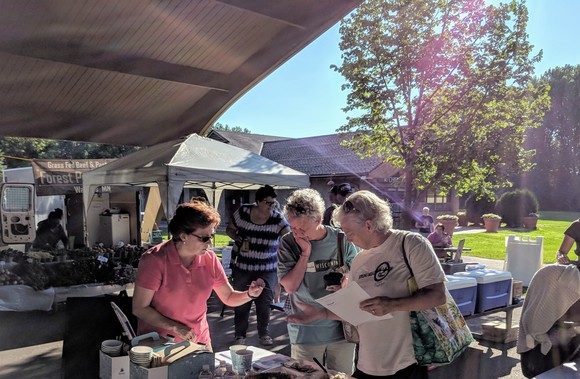 Richfield Farmers Market