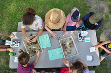 Wayzata Sailing Center AIS investigation