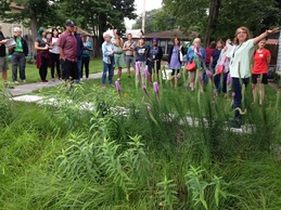 Rain garden tour