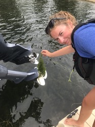 Taking aquatic vegetation off boat propeller