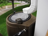 Rain barrel capturing rain water
