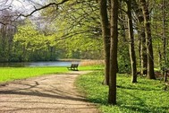 Photo of a bench at the end of a path by a lake and trees