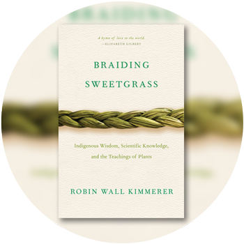 Braiding Sweetgrass cover