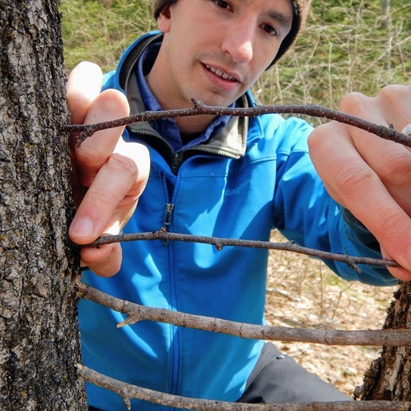 Young man in blue coat balances sticks in the crook of a tree