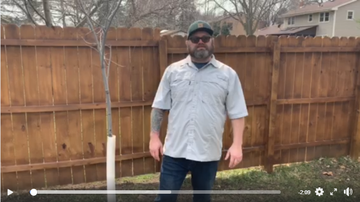 Screenshot of spring tree care tips video 1