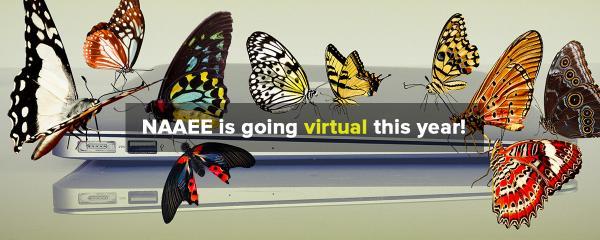 NAAEE virtual conference