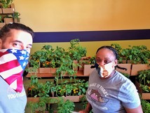 Spark-Y members help organize victory garden boxes