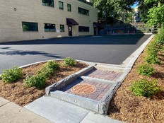 Parking lot with a storm drain and trees and shrubs where water will flow during rain