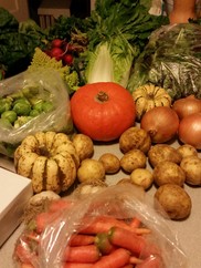 A variety of fall vegetables, including squash, pumpkins, carrots, potatoes, and brussel sprouts