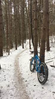 Fat bike leaning against a tree on a snowy trail