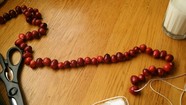 Cranberries on a string