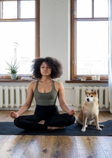 yogi and dog