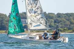 Sailboat with sails painted with invasive species like zebra mussels and koi