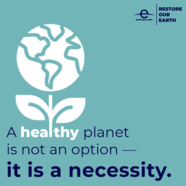 A healthy planet is a necessity