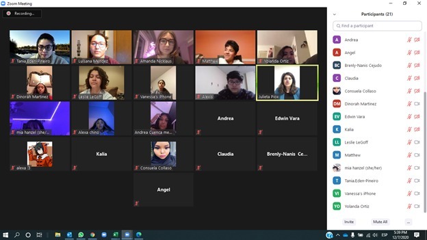 Zoom workshop screenshot of participants