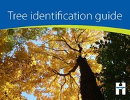 Cover of the tree identification guide