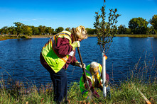 Two volunteers planting trees in a park next to a lake