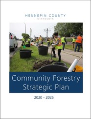 Cover of the community forestry strategic plan