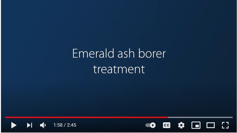 EAB treatment video screen shot