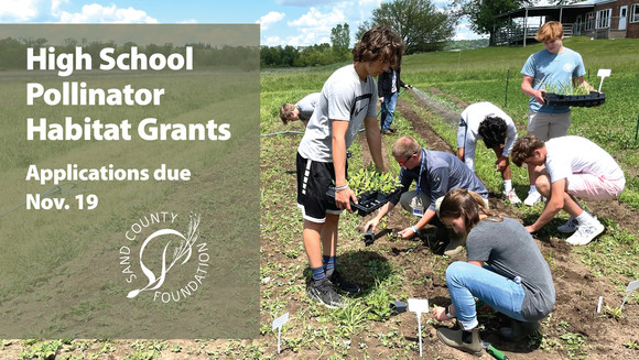 High school pollinator habitat grants, applications due November 19. Sand County Foundation