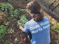 Minnesota Water Steward wearing a Clean Water Starts Here t-shirt in garden