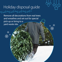 Graphic with person carrying live Christmas tree and instructions to arrange special pick up or bring to yard waste site