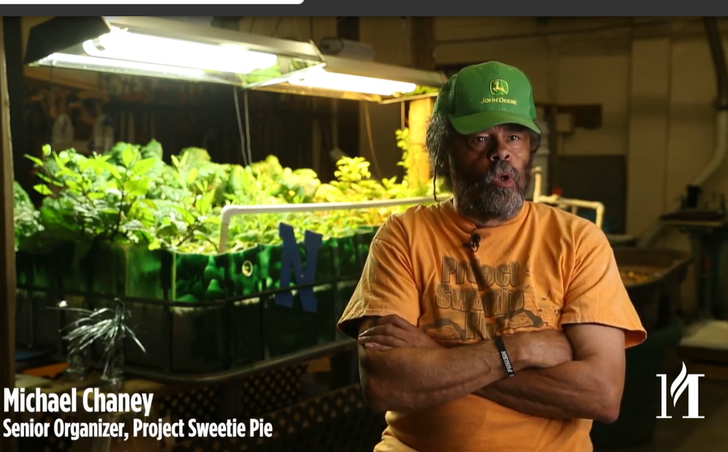 Project Sweetie Pie video screenshot