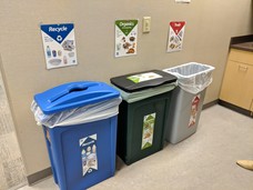 Recycle, organics, and trash bins
