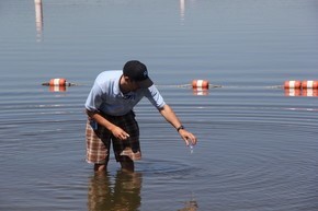 Beach water sampling