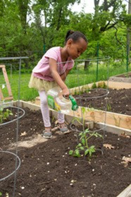 Little girl watering plant in garden