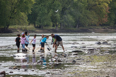 Youth in river looking for fish