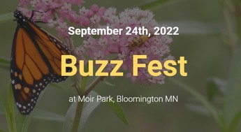 Buzz Fest poster