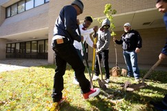 Tree planting with students at North High School