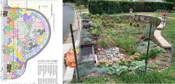 Design plan and photo of rain garden in New Hope