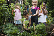 Young children helping in a garden