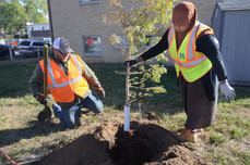 Two Hennepin County foresters planting trees