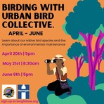 Birding with Urban Bird Collective