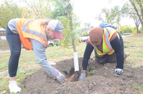 Two women in safety vests planting a tree