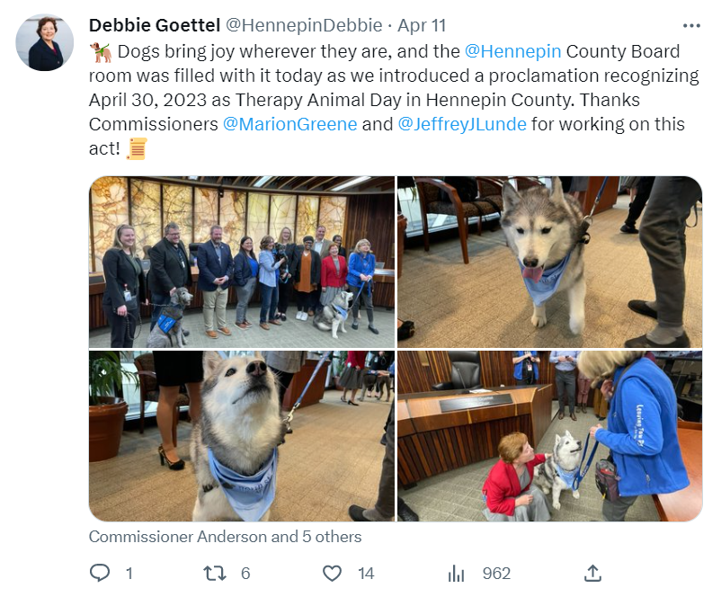 Therapy Animal Day