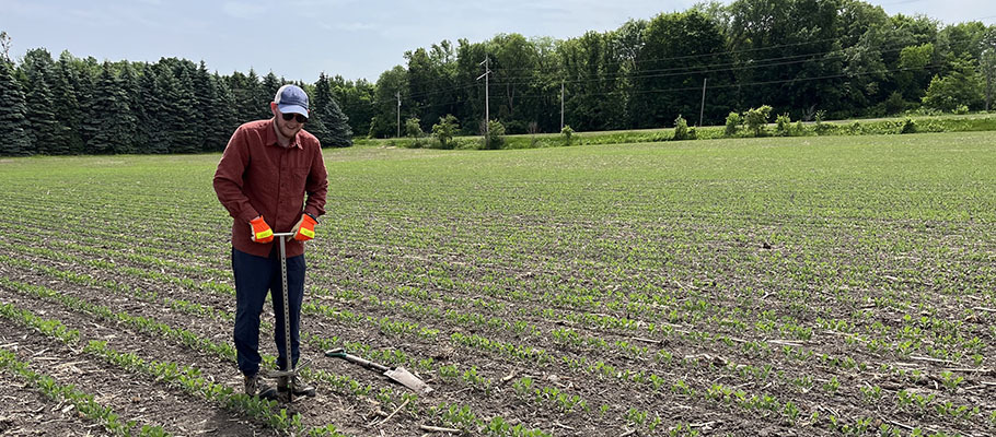 County staff taking a soil test in a field