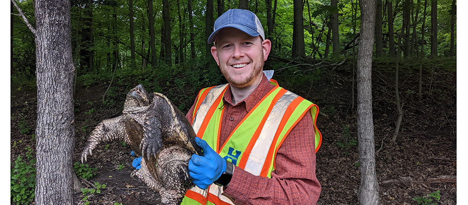 County staff holding snapping turtle