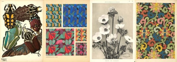 Four nature and floral samples from the Rare Art Book Collection Exhibit 