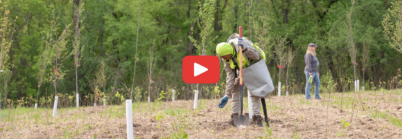 Screenshot of the tree planting video at conservation easement in Independence